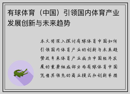 有球体育（中国）引领国内体育产业发展创新与未来趋势